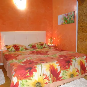 Orange Flower Апартаменты